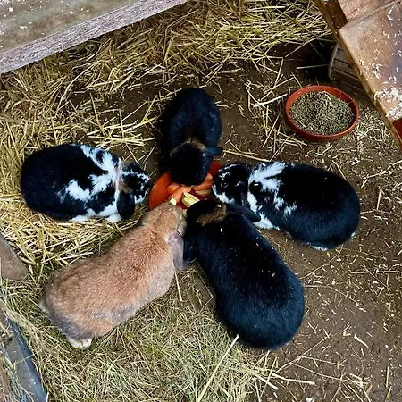 Apartamento Chez Lana *