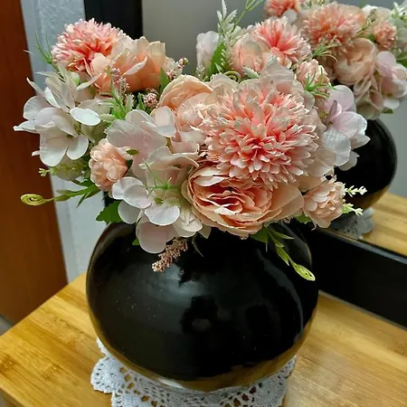 Apartamento Chez Lana