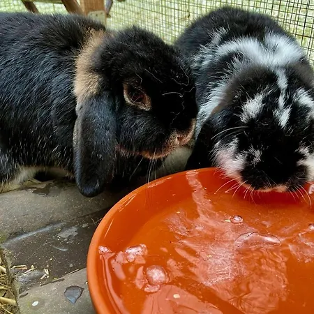 Chez Lana Apartamento