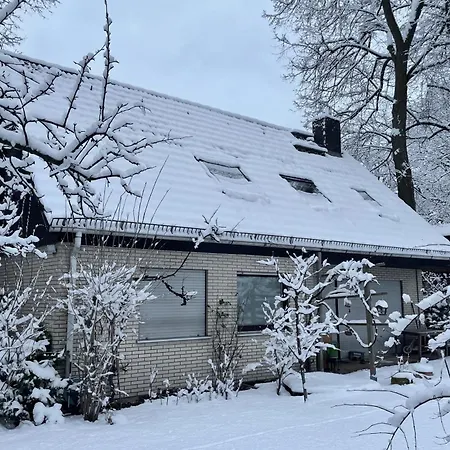Chez Lana *